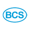 Ir a la web oficial de BCS